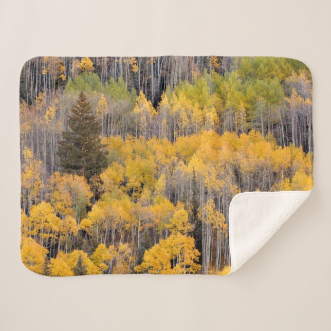 Couverture Sherpa Arbres d'Aspen | White River National Forest (Devant (Horizontal))