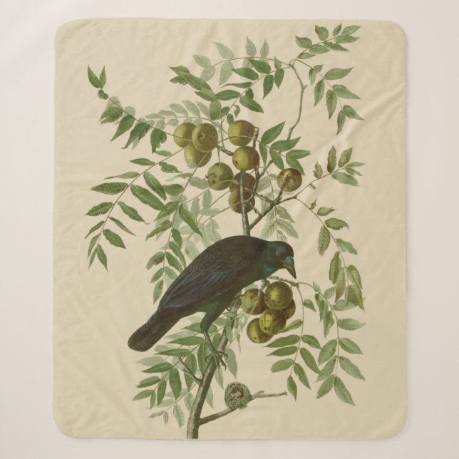 Couverture Sherpa Audubon American Crow Black Bird (Devant)