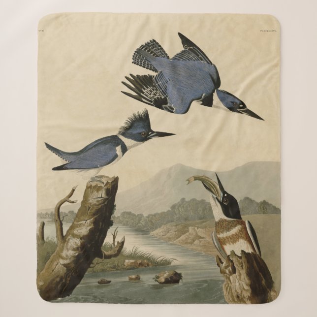 Couverture Sherpa Audubon Belted Kingfisher Wildlife Bird (Devant)