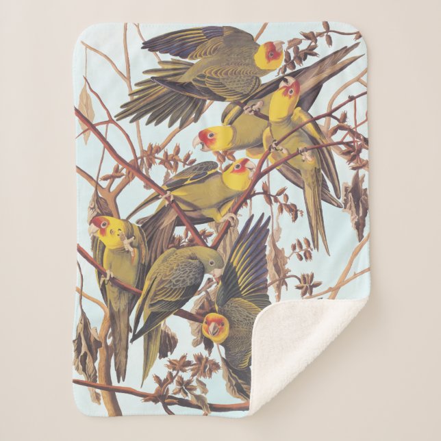 Couverture Sherpa Audubon Carolina - Éclosion de perruques (Devant)