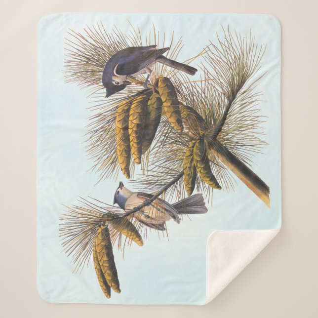 Couverture Sherpa Audubon Crested Titmouse Birds in Pine Tree (Devant)