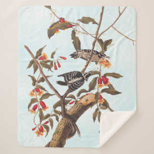 Couverture Sherpa Audubon Downy Pic Couple aux fleurs