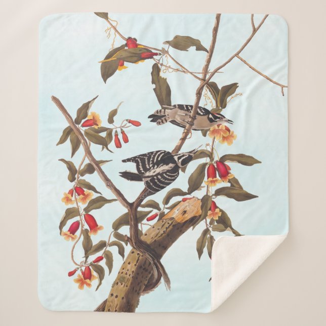 Couverture Sherpa Audubon Downy Pic Couple aux fleurs (Devant)
