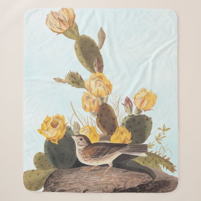 Couverture Sherpa Audubon Vesper Sparrow et Prickly Pear Cactus (Devant)
