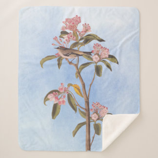 Couverture Sherpa Audubon's Cuvier's Kinglet Mystery Bird