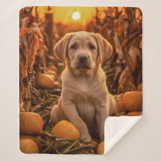 Couverture Sherpa Autumn Yellow Lab Pup (Devant)