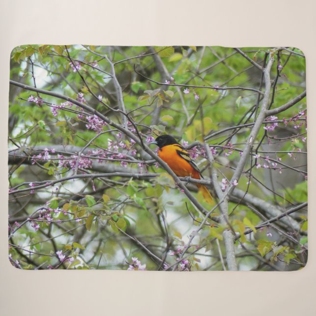 Couverture Sherpa Baltimore Oriole (Devant (Horizontal))