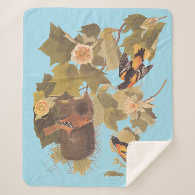 Couverture Sherpa Baltimore Oriole Audubon Bird Family avec nid (Devant)