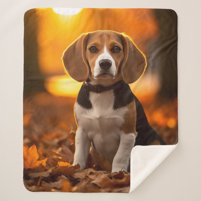 Couverture Sherpa Beagle d'automne (Devant)