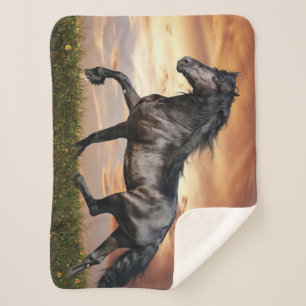 Couverture Sherpa Beau Cheval Noir