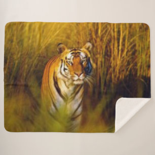 COUVERTURE SHERPA BENGAL TIGER