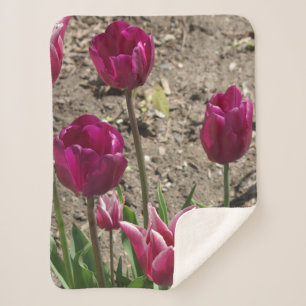 Couverture Sherpa Blankert pourpre de sherpa de tulipes