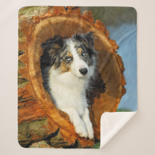Couverture Sherpa Bordure Collie Blue Merle Chien Tête Photo Animal