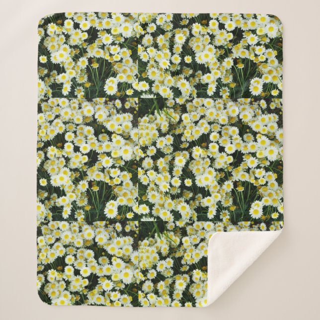 Couverture Sherpa Boutons Fleur Jaune Dainty Daisy (Devant)