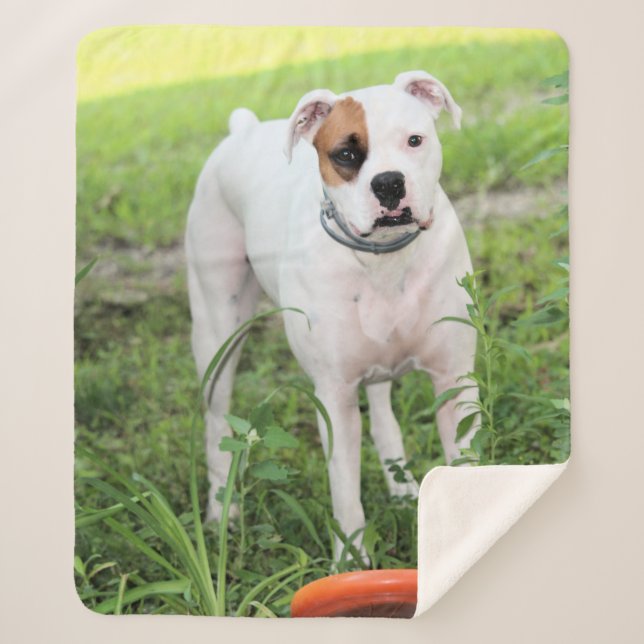 Couverture Sherpa Boxer (Devant)