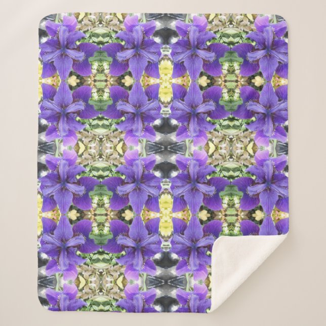 Couverture Sherpa Brandeis (Devant)