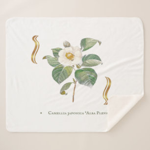 Couverture Sherpa Camellia japonica 'Alba Plena' 