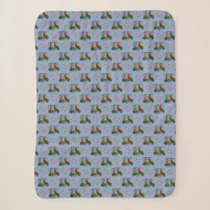 Couverture Sherpa Cardinals Corner (Bleu Clair)
