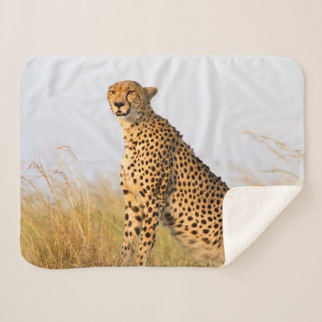Couverture Sherpa Cat lover cheetah photo (Devant (Horizontal))