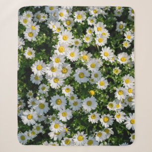 Couverture Sherpa Champ de marguerite du printemps : Arrière - plan
