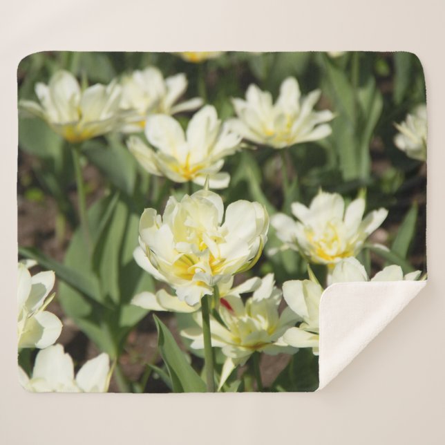 Couverture Sherpa Champ de tulipes blanches (Devant (Horizontal))