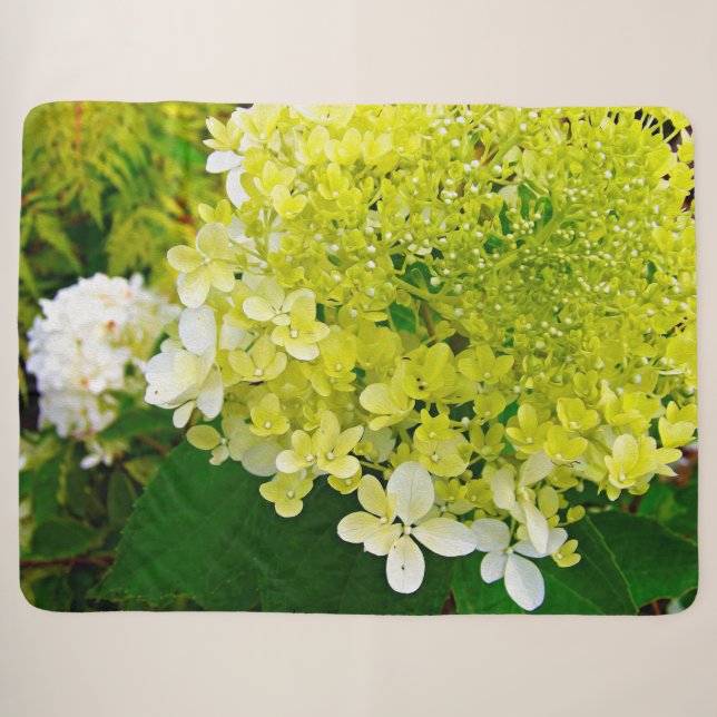 Couverture Sherpa Chartreuse Vert, Limelight Hydrangea, (Devant (Horizontal))