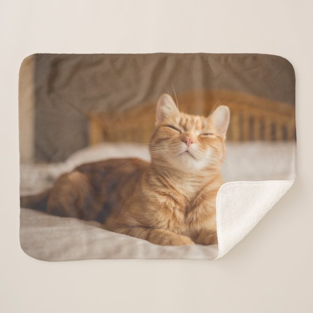 Couverture Sherpa Chat somnolent des images | de Getty (Devant (Horizontal))