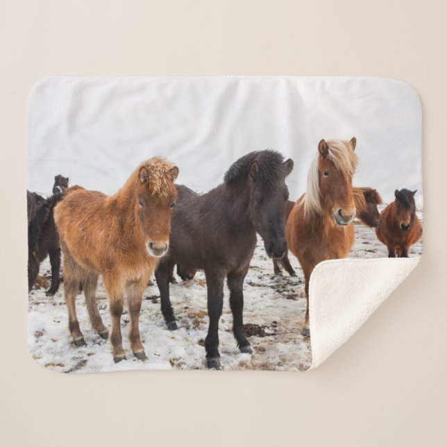 Couverture Sherpa Cheval islandais en hiver Islande (Devant (Horizontal))