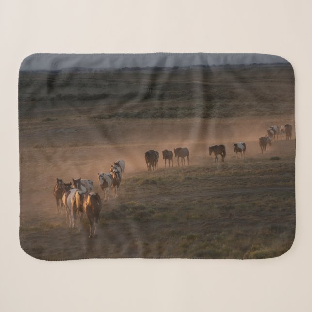 Couverture Sherpa Chevaux Sauvages Marchant Vers Le Désert (Devant (Horizontal))