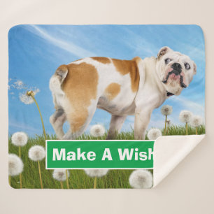 Couverture Sherpa Chien avec Dandelion