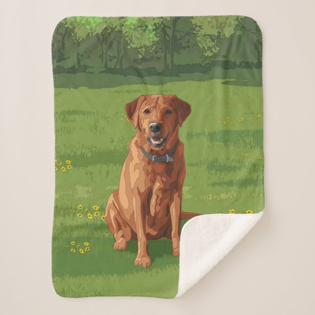 Couverture Sherpa Chien du Labrador jaune rouge renard (Devant)