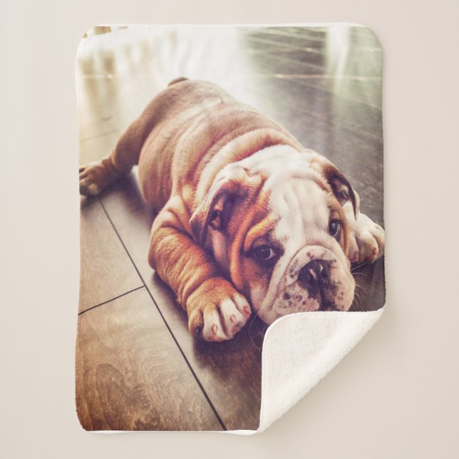 Couverture Sherpa Chien menteur de Bulldog anglais | Photo de chien (Devant)