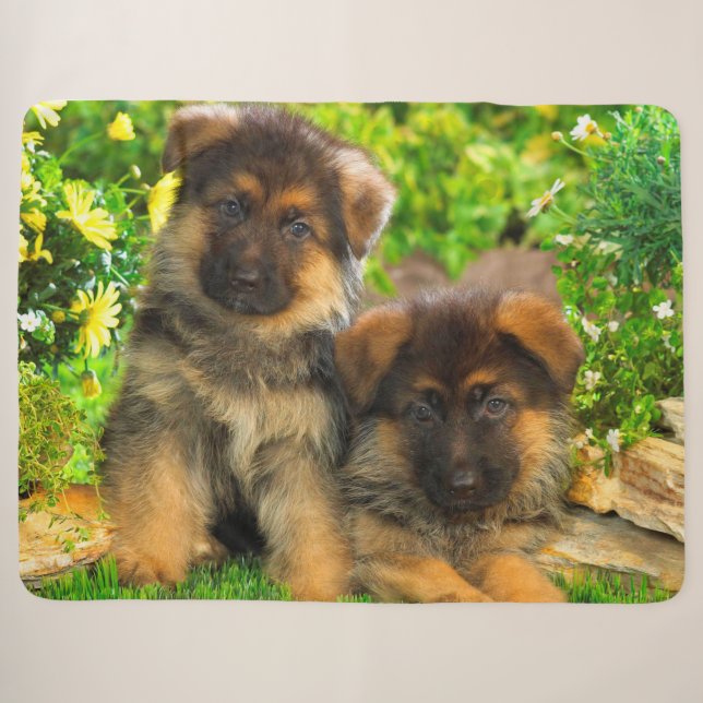 Couverture Sherpa Chiffres allemands (Devant (Horizontal))
