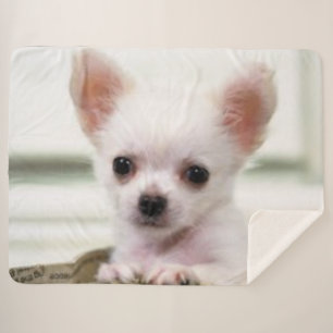 COUVERTURE SHERPA CHIOT DE CHIWAWA