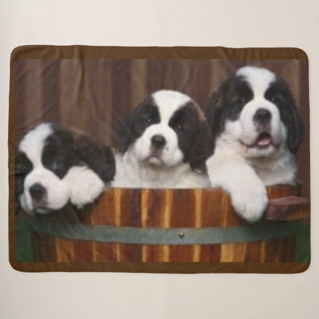 COUVERTURE SHERPA CHIOTS DE ST BERNARD (Devant (Horizontal))