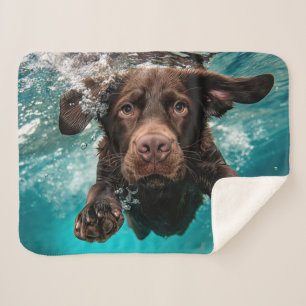 Couverture Sherpa Chocolat Joueur Labrador nage sous l'eau