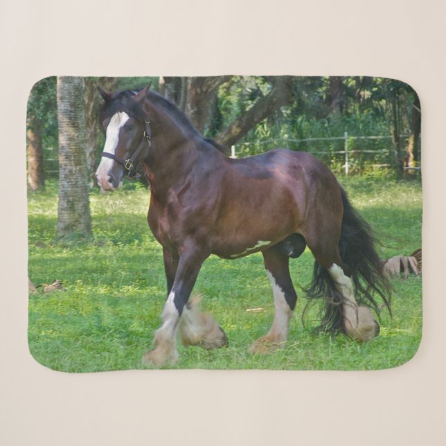 Couverture Sherpa Clydesdale Horse (Devant (Horizontal))