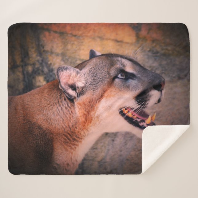 Couverture Sherpa Cougar  (Devant (Horizontal))