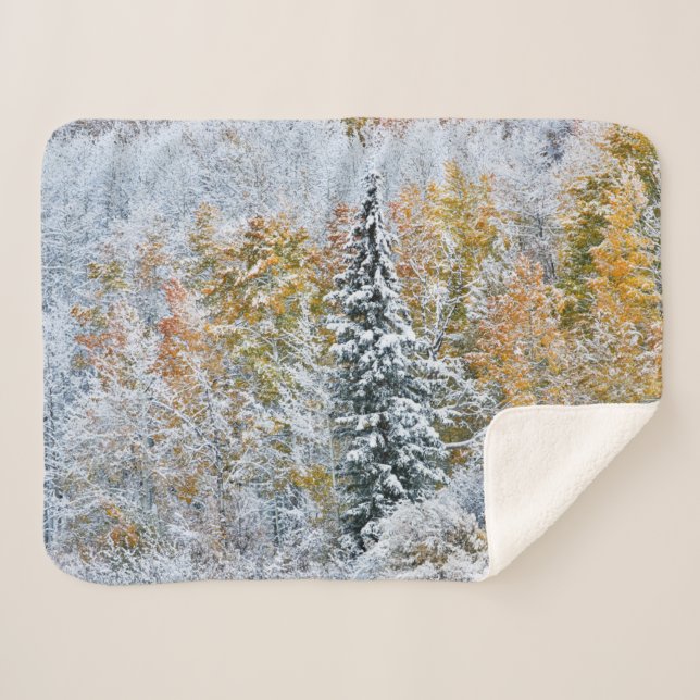 Couverture Sherpa Couleurs automnales des Aspens et du col Keebler (Devant (Horizontal))