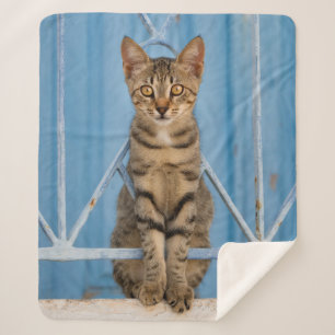 Couverture Sherpa Cuisine Nosy Tabby Chat Kitten assis dans une clôt