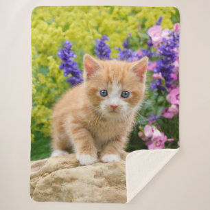 Couverture Sherpa Cute Fluffy Ginger Baby Cat Kitten à Flowers Pet