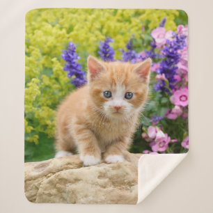 Couverture Sherpa Cute Fluffy Ginger Baby Cat Kitten Flowers Animal 