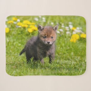 Couverture Sherpa Cute Fluffy Red Fox Kit Cub Wild Baby Animal Photo