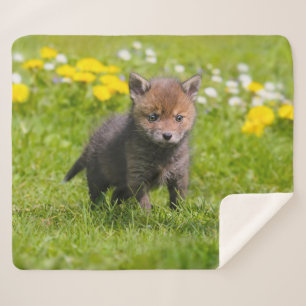 Couverture Sherpa Cute Fluffy Red Fox Kit Cub Wild Baby Animal Photo
