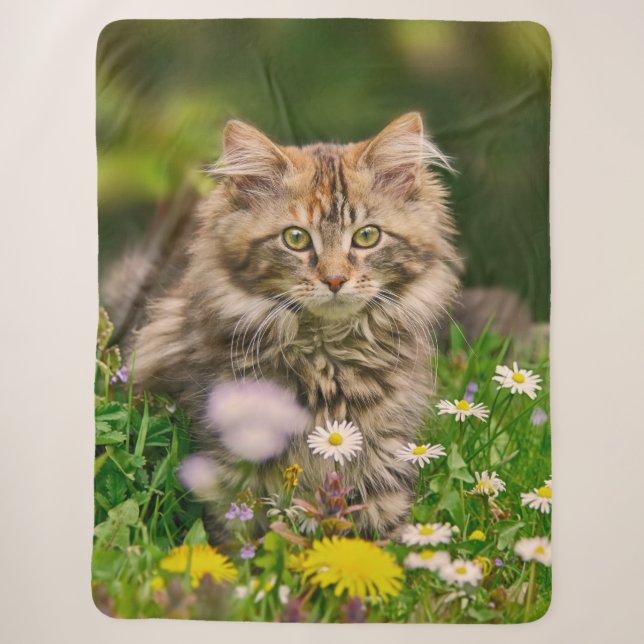Couverture Sherpa Cute Tabby Maine Coon Kitten Chat Animal Tête Phot (Devant)