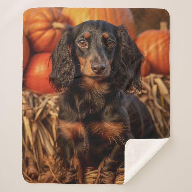 Couverture Sherpa Dachshund d'automne (Devant)