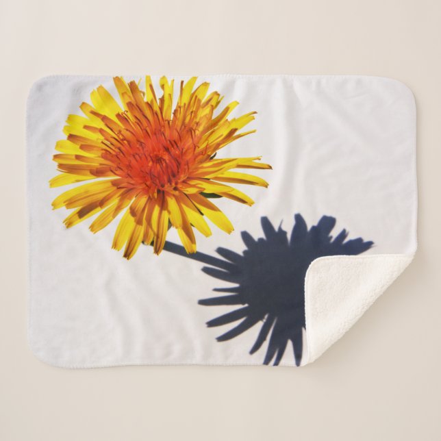 Couverture Sherpa Dandelion et ombre sbcnm (Devant (Horizontal))