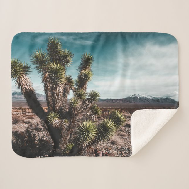 Couverture Sherpa Deserts | Cholla Cactus (Devant (Horizontal))