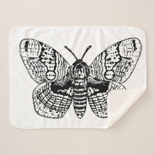 Couverture Sherpa Dessin Brahmin moth