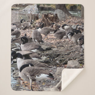 Couverture Sherpa d'oies dans le parc